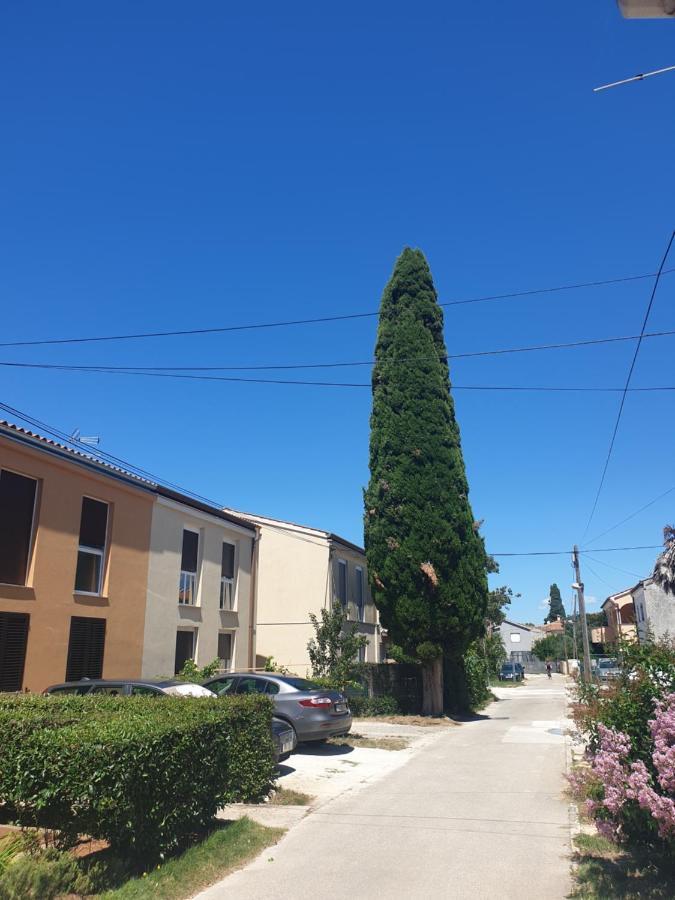 Apartmani Slavulj 파자나 외부 사진