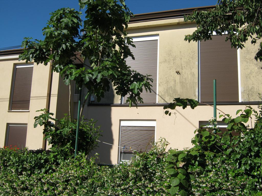Apartmani Slavulj 파자나 외부 사진